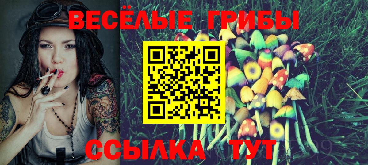 наркотики  Вход с VPN  Псилоцибиновые грибы Cubensis  Хасавюрт  Галлюциногенные грибы прущие грибы 